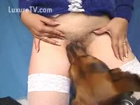 Beastiality DVD - Brunette receives a licking from her dog